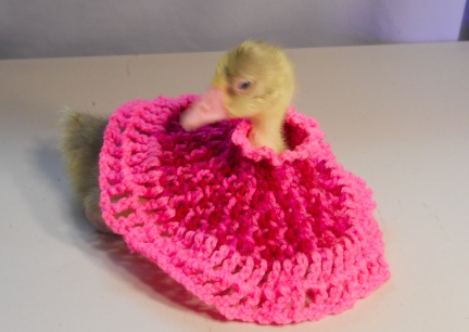 Dinah's Crocheted Dress 1