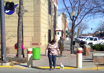 Dinah Crossing the big white lines in Rapid City, SD 2012-03-12